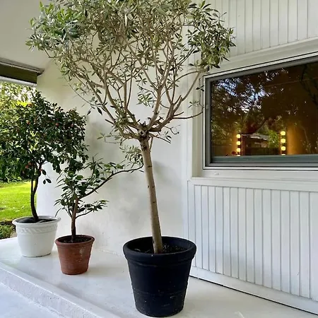 Seehaus Mit Kamin Und Hot Tub Крефельд