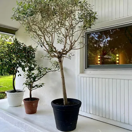 Seehaus Mit Kamin Und Hot Tub